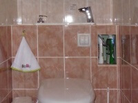 Lave-main sur WC suspendu esthetique - WiCi Next  - Monsieur N (37)